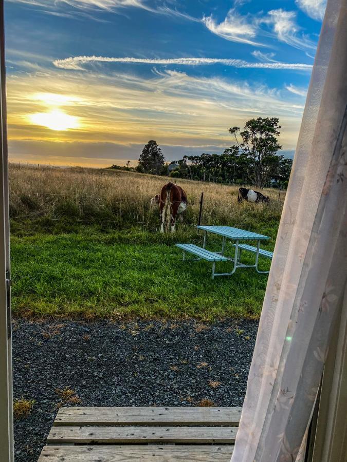 White Caps Kaikoura Farmstay Exteriör bild